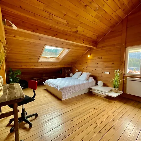 Le Cresson, Et Spacieux Avec Balcon * Gerardmer