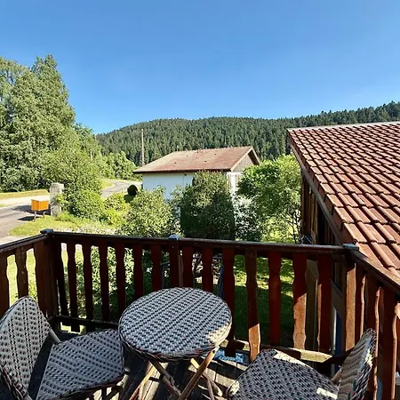 Le Cresson, Et Spacieux Avec Balcon Lejlighed Gérardmer